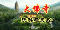 空姐被艹下面喷水中国浙江-新昌大佛寺旅游风景区